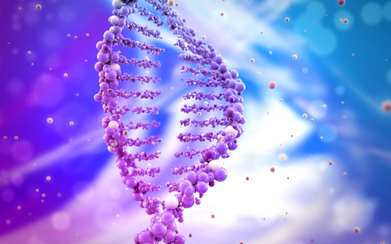 steps to transformation activate your 12 strand dna haley laura workshop circles of wisdom