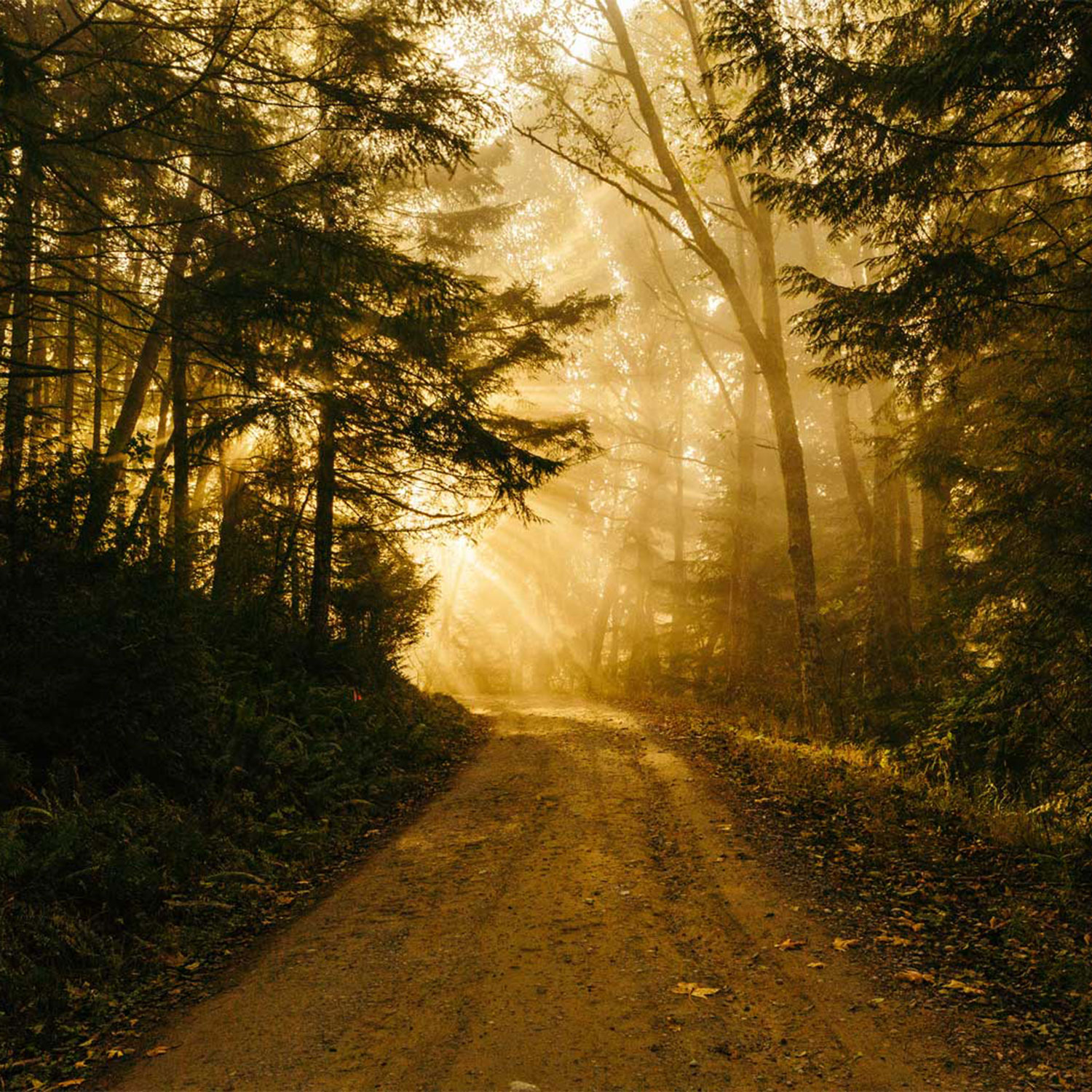 Discover Your Soul's Path through the Akashic Records: Live your Life from Ordinary to Extraordinary