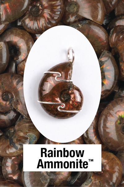 Rainbow Ammonite Wire Wrap Pendant