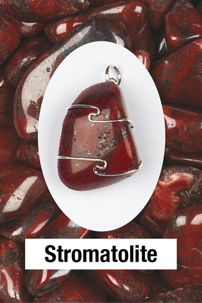 Stromatolite Wire Wrap Pendant