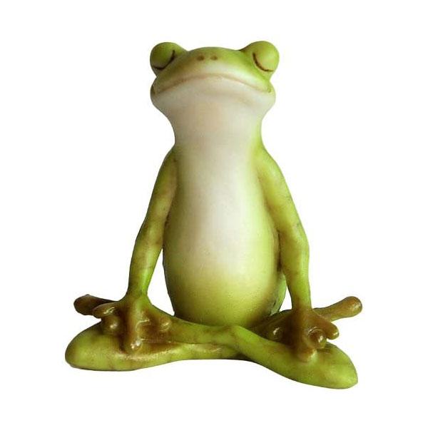 Yoga Frog in Meditation Lotus Pose