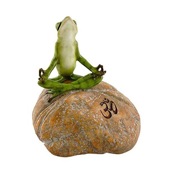 Meditating Frog on Rock with Om Symbol