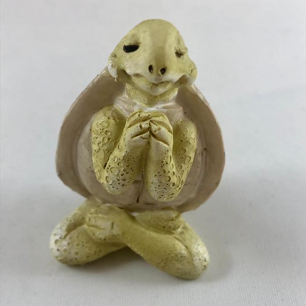 Yoga Turtle in Namaste Pose