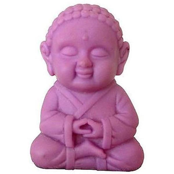 Pocket Buddha Wisdom