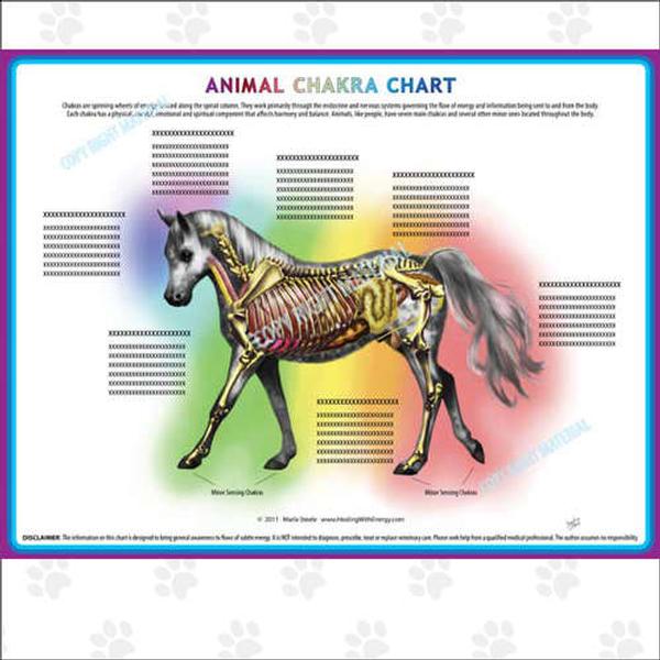 Animal Chakra Chart - Horse