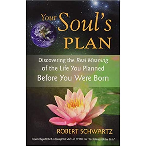 Your Soul's Plan