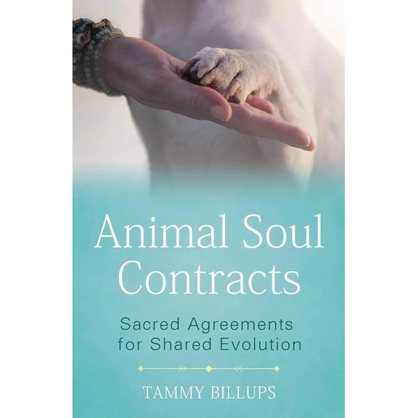 Animal Soul Contracts