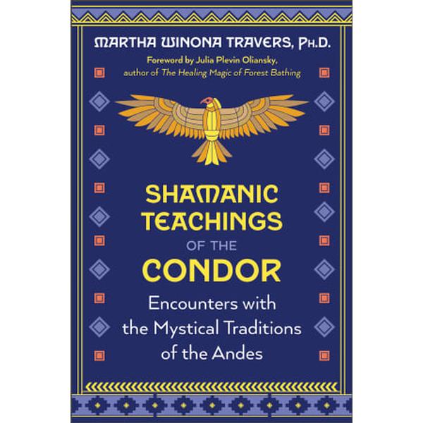 Shamanic Teachings of the Condor