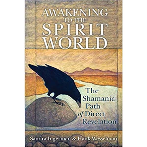 Awakening to the Spirit World : The Shamanic Path