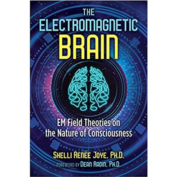 Electromagnetic Brain: EM Field Theories on the Nature of Consciousness