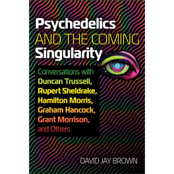 Psychedelics and the Coming Singularity