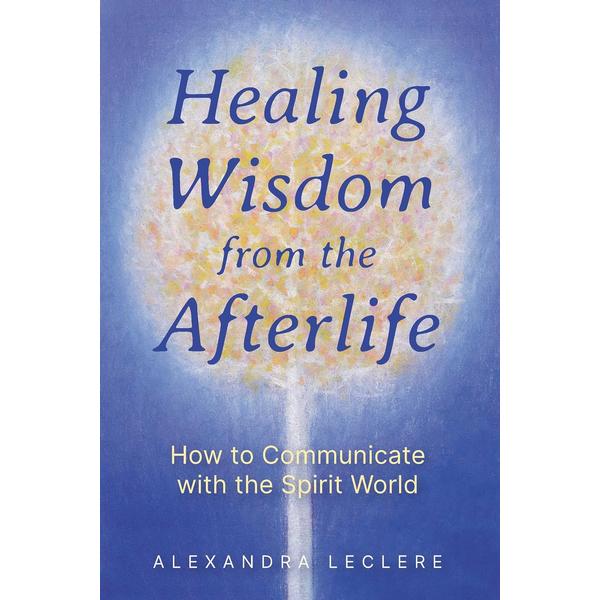 Healing Wisdom From the Afterlife