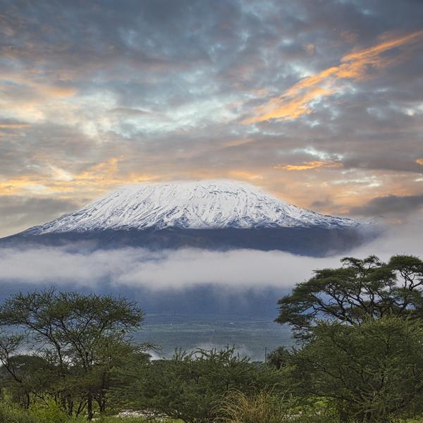 Arcturian Healing Method Level 15: The Arcturian Kilimanjaro Healing Frequencies