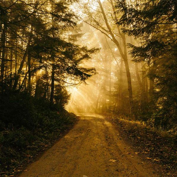 Discover Your Soul's Path through the Akashic Records: Live your Life from Ordinary to Extraordinary