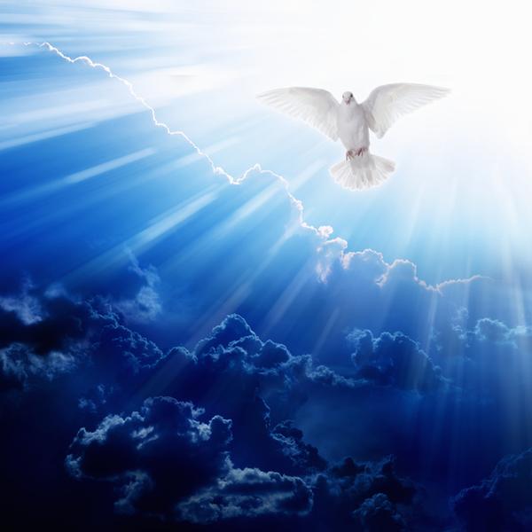 Summer Solstice Vortex: A Divine Light Experience