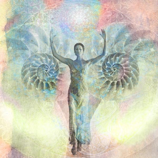 Walking the Shaman's Path of Wisdom