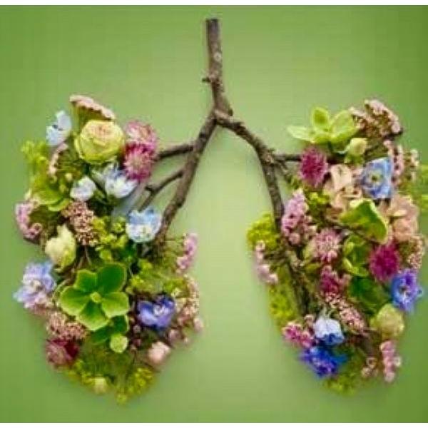 Breath Medicine Journey