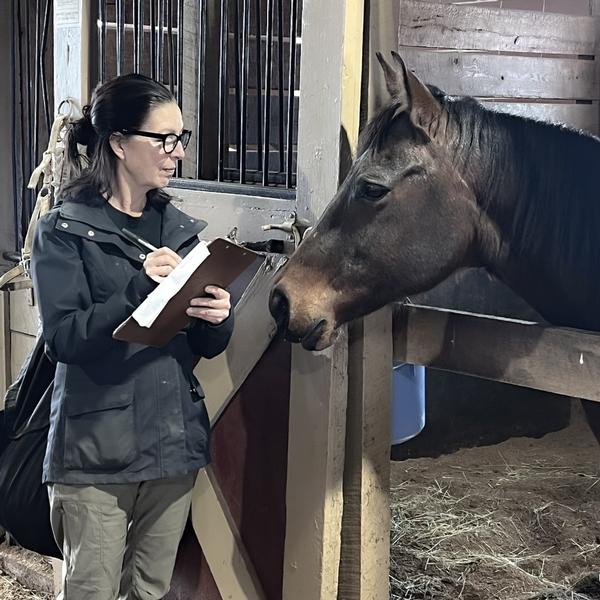 Animal Communication