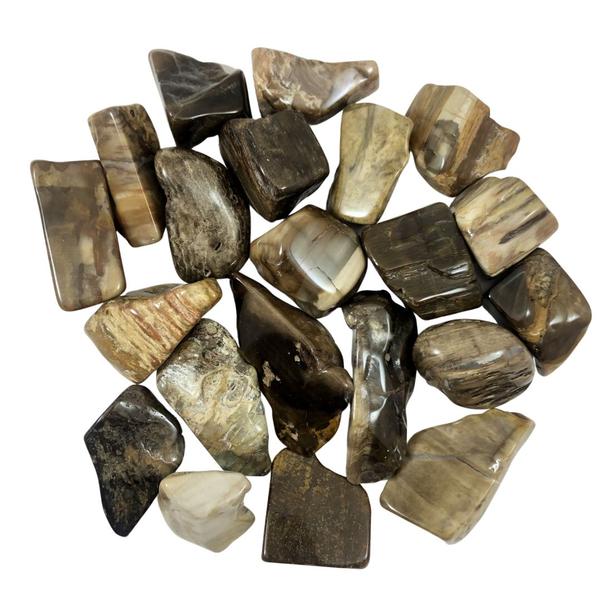 Tumbled Petrified Wood