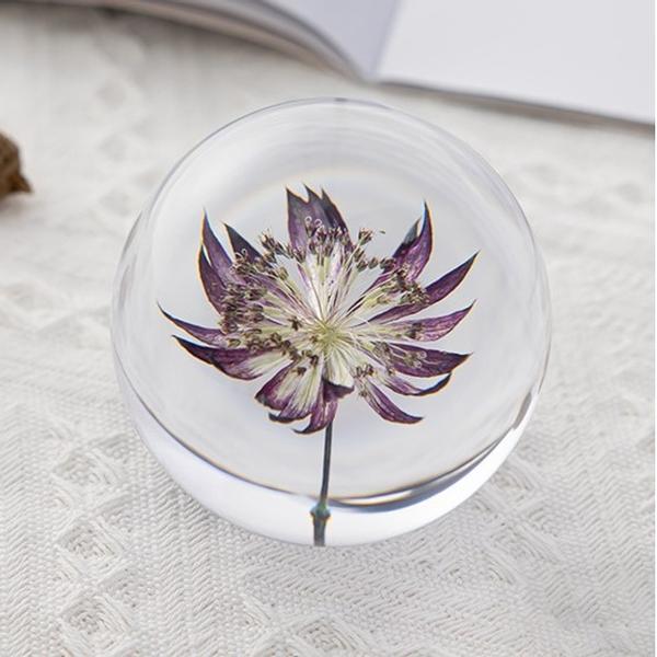 Astrantia Flower in Resin Lens Ball