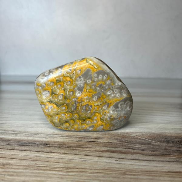 Bumblebee Jasper