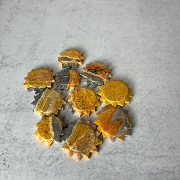 Bumblebee Jasper Sun