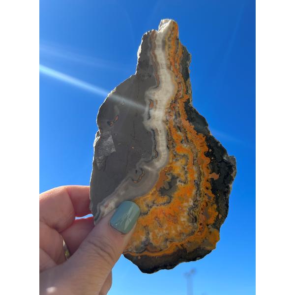 Bumblebee Jasper Slab