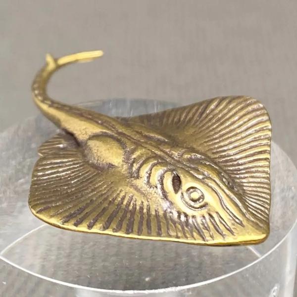 Small Brass Stingray