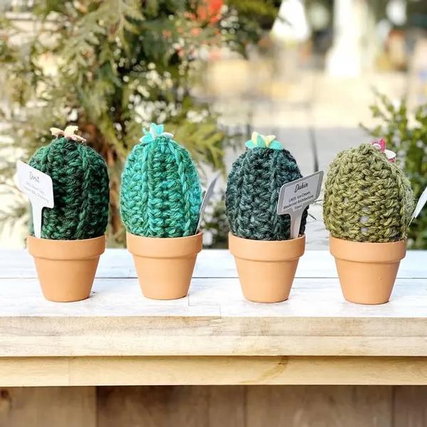 Cozy Crochet Cactus