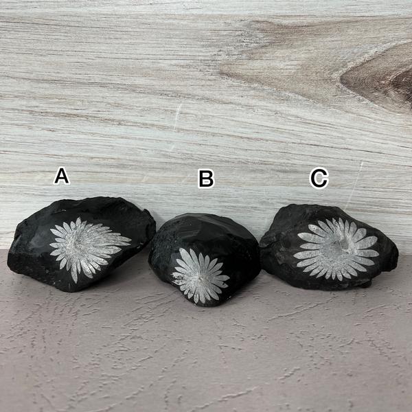 Chrysanthemum Stone