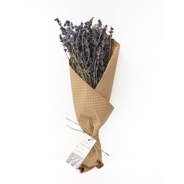 French Lavender Bundle