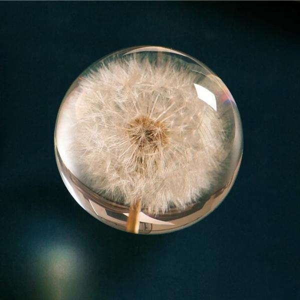 Real Dandelion in Resin