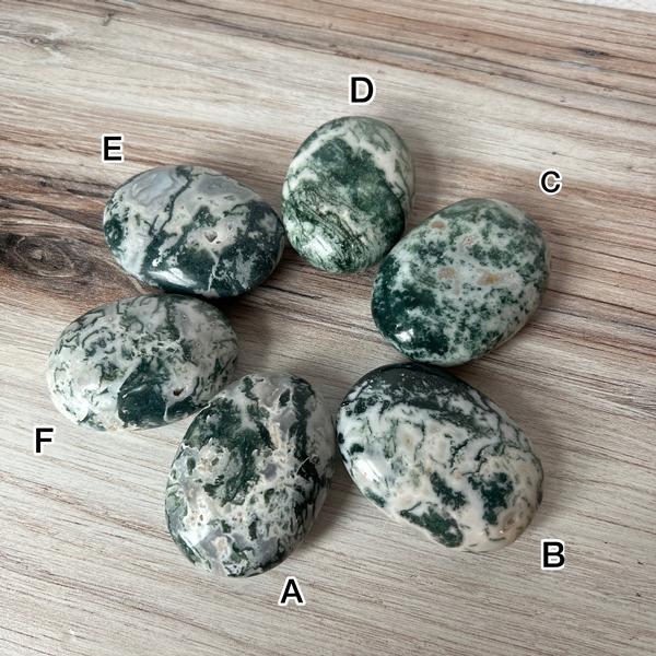 Tree Agate Palm Stone