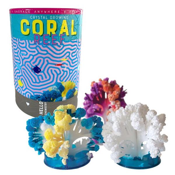 Crystal Growing Coral Reef