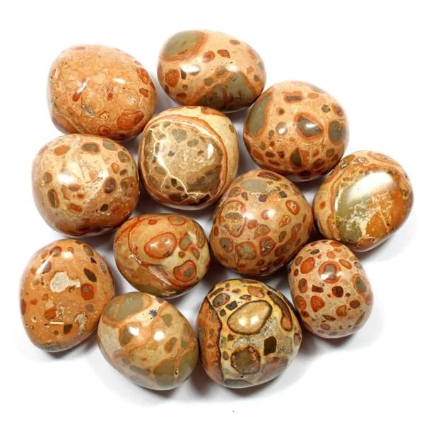 Tumbled Leopardite