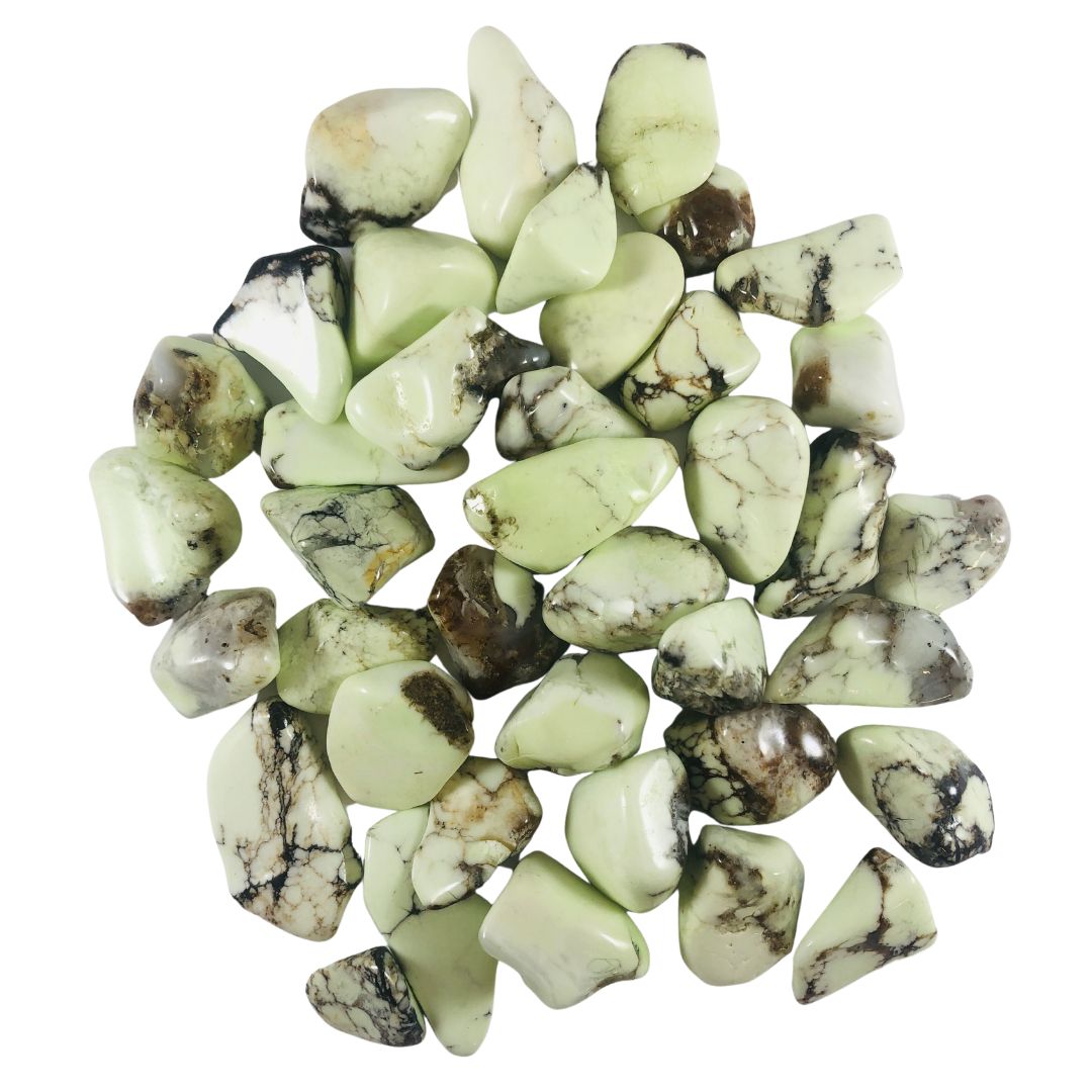 Tumbled Lemon Chrysoprase Circles of Wisdom Crystals