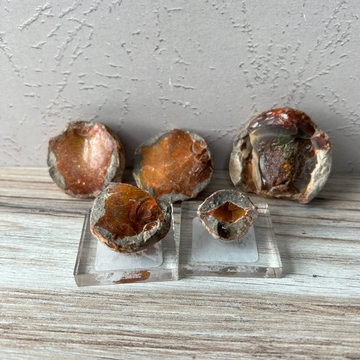 Chocolate Opal