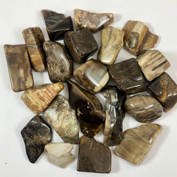 Petrified Wood